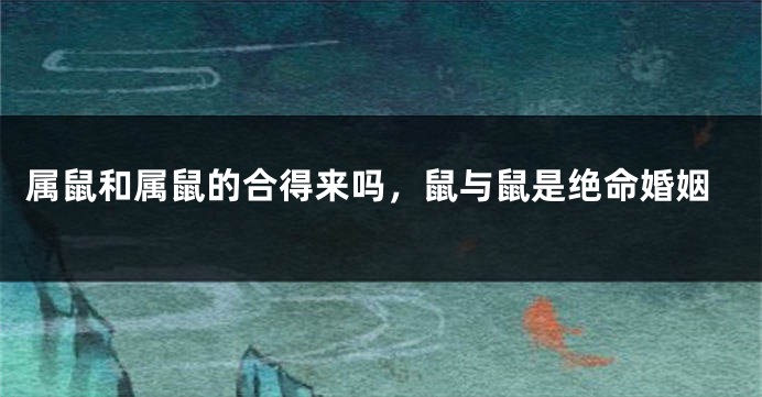 属鼠和属鼠的合得来吗，鼠与鼠是绝命婚姻