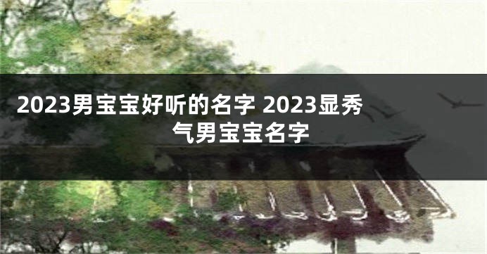 2023男宝宝好听的名字 2023显秀气男宝宝名字