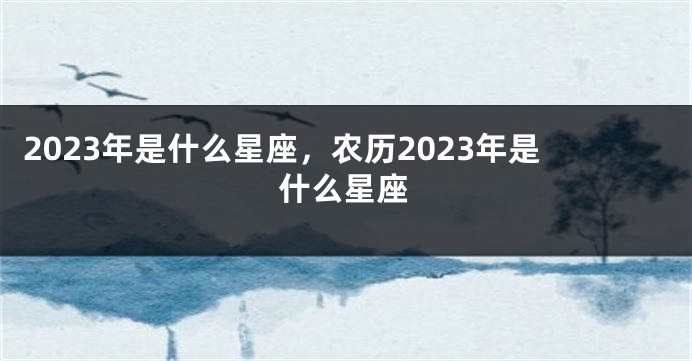 2023年是什么星座，农历2023年是什么星座