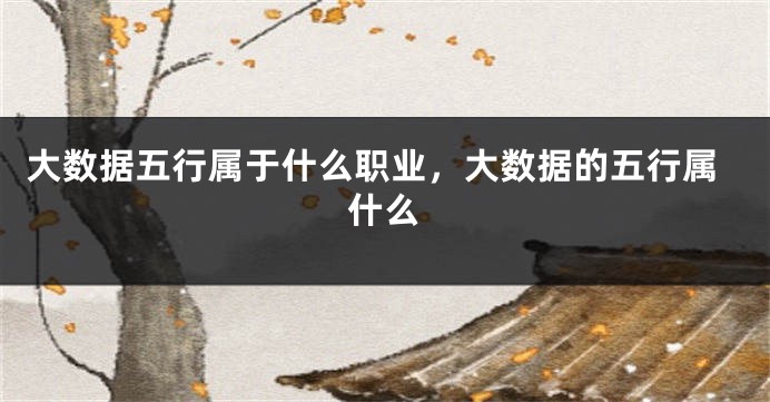大数据五行属于什么职业，大数据的五行属什么