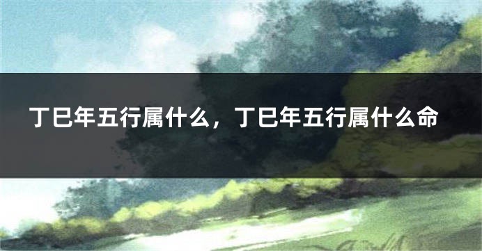 丁巳年五行属什么，丁巳年五行属什么命