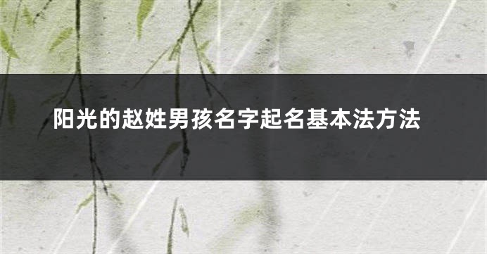 阳光的赵姓男孩名字起名基本法方法