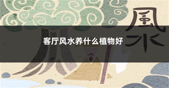 客厅风水养什么植物好