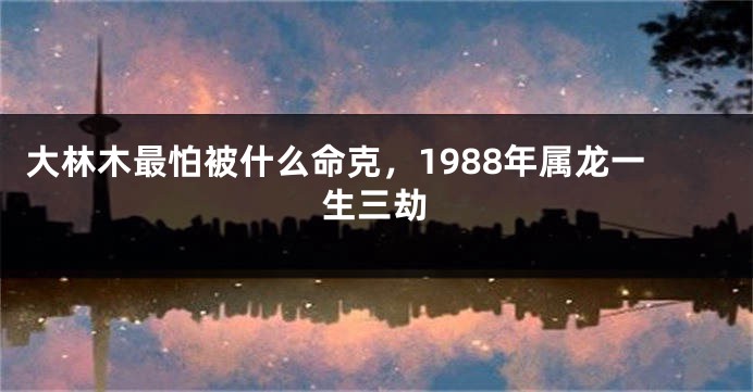 大林木最怕被什么命克，1988年属龙一生三劫