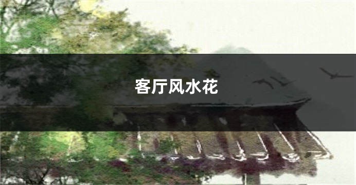 客厅风水花