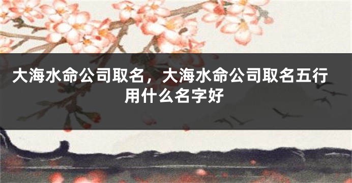 大海水命公司取名，大海水命公司取名五行用什么名字好