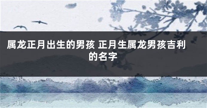 属龙正月出生的男孩 正月生属龙男孩吉利的名字