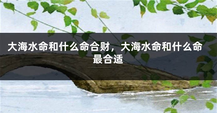 大海水命和什么命合财，大海水命和什么命最合适