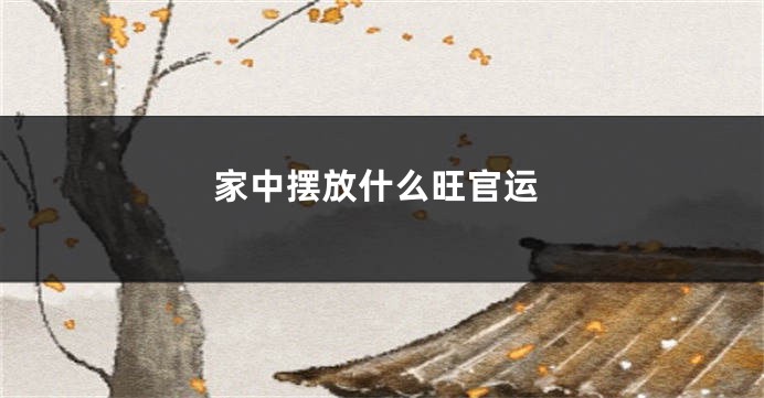 家中摆放什么旺官运
