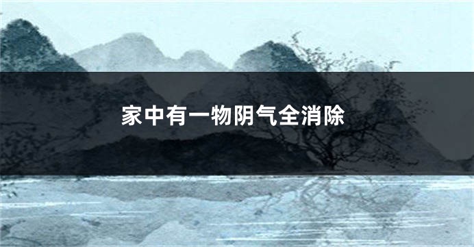 家中有一物阴气全消除