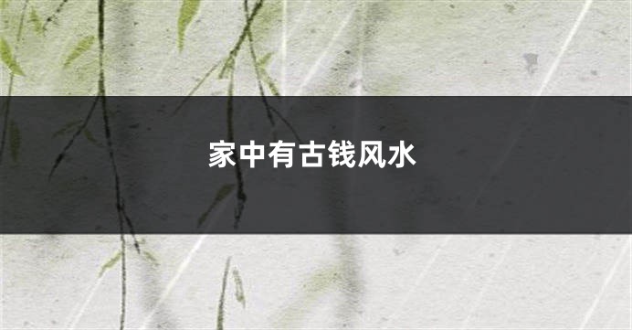 家中有古钱风水