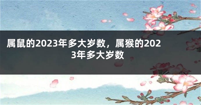属鼠的2023年多大岁数，属猴的2023年多大岁数