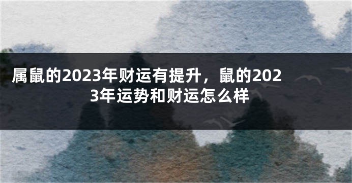 属鼠的2023年财运有提升，鼠的2023年运势和财运怎么样