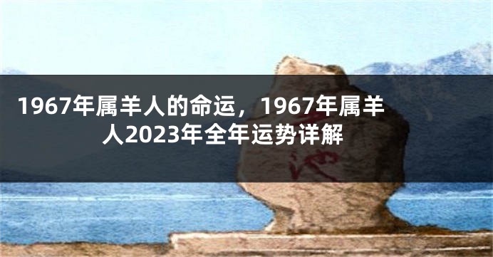 1967年属羊人的命运，1967年属羊人2023年全年运势详解