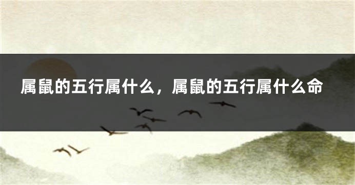 属鼠的五行属什么，属鼠的五行属什么命