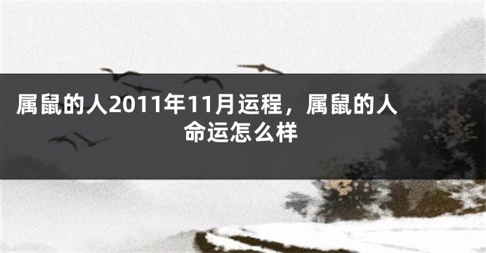 属鼠的人2011年11月运程，属鼠的人命运怎么样