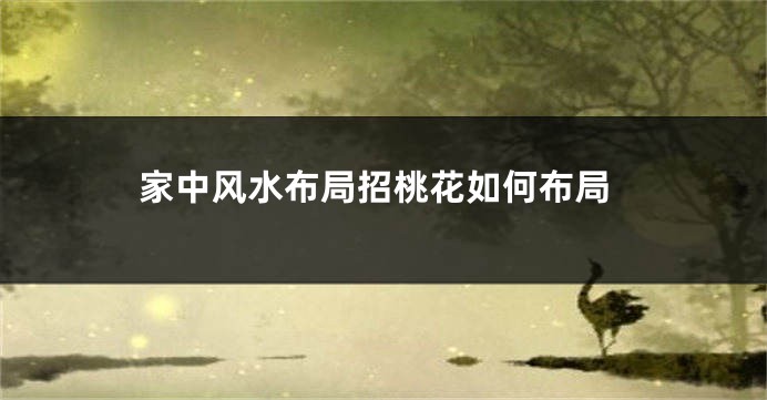 家中风水布局招桃花如何布局