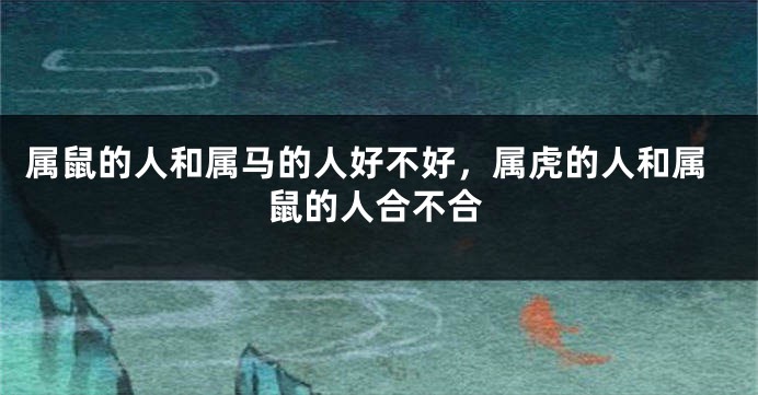属鼠的人和属马的人好不好，属虎的人和属鼠的人合不合