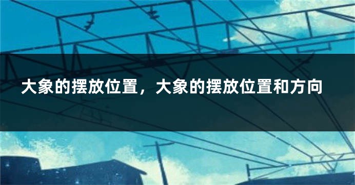 大象的摆放位置，大象的摆放位置和方向