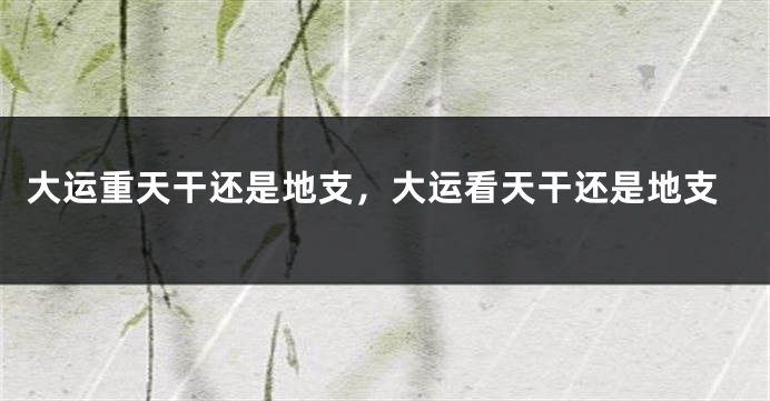 大运重天干还是地支，大运看天干还是地支