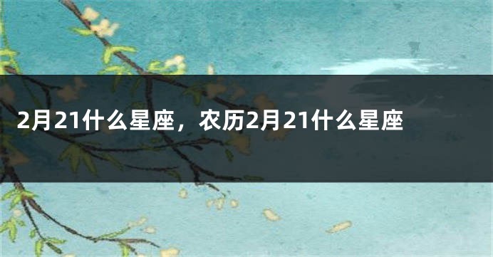 2月21什么星座，农历2月21什么星座