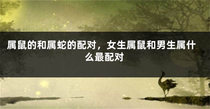 属鼠的和属蛇的配对，女生属鼠和男生属什么最配对