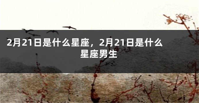 2月21日是什么星座，2月21日是什么星座男生