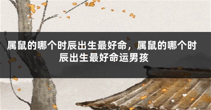 属鼠的哪个时辰出生最好命，属鼠的哪个时辰出生最好命运男孩
