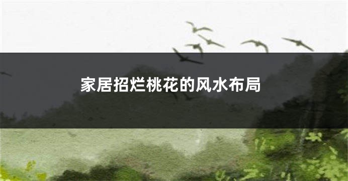 家居招烂桃花的风水布局