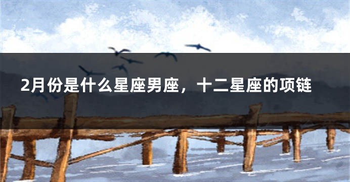 2月份是什么星座男座，十二星座的项链