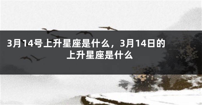 3月14号上升星座是什么，3月14日的上升星座是什么
