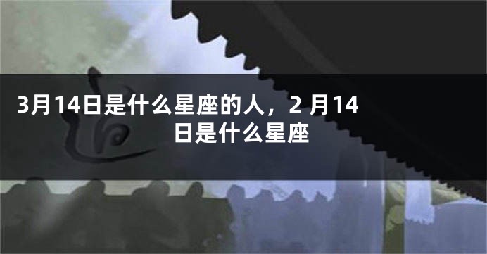3月14日是什么星座的人，2 月14 日是什么星座