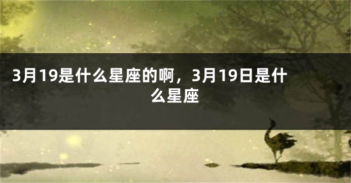 3月19是什么星座的啊，3月19日是什么星座