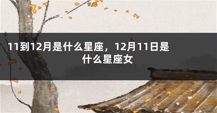 11到12月是什么星座，12月11日是什么星座女