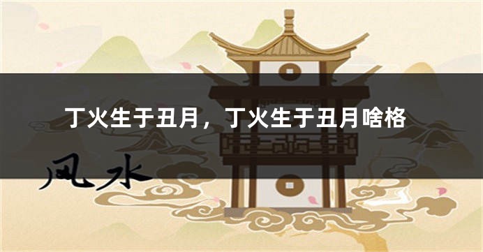 丁火生于丑月，丁火生于丑月啥格