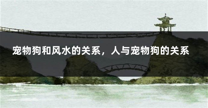 宠物狗和风水的关系，人与宠物狗的关系