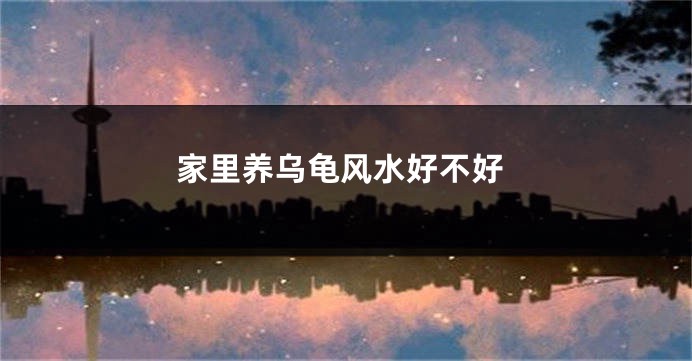 家里养乌龟风水好不好