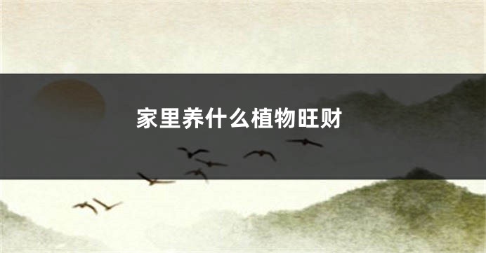 家里养什么植物旺财