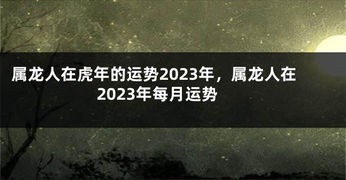 属龙人在虎年的运势2023年，属龙人在2023年每月运势