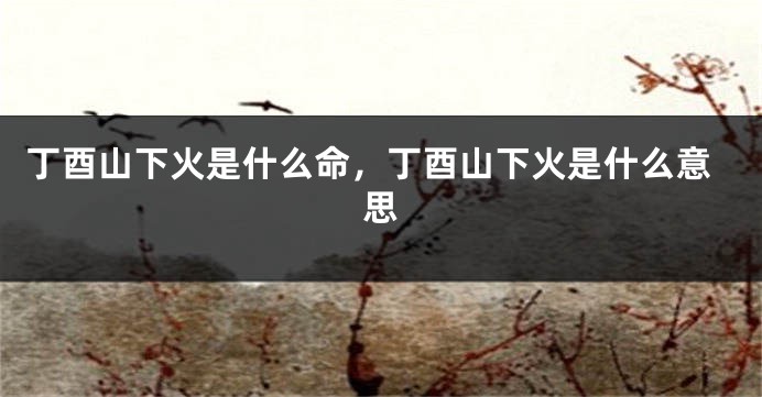 丁酉山下火是什么命，丁酉山下火是什么意思