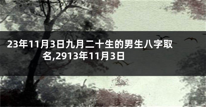 23年11月3日九月二十生的男生八字取名,2913年11月3日