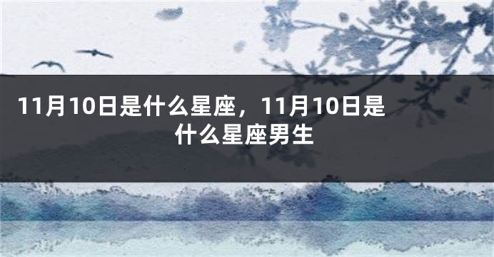 11月10日是什么星座，11月10日是什么星座男生