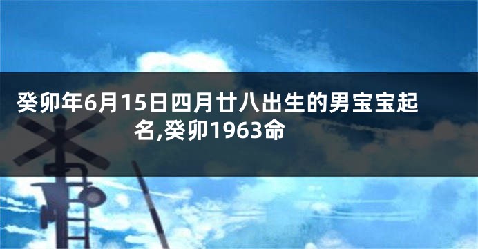 癸卯年6月15日四月廿八出生的男宝宝起名,癸卯1963命