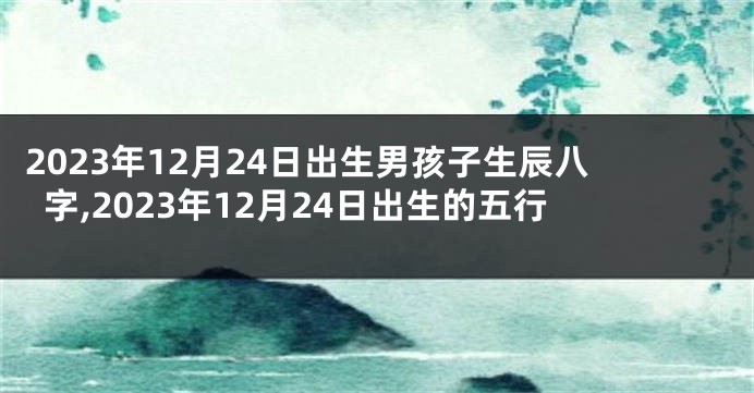 2023年12月24日出生男孩子生辰八字,2023年12月24日出生的五行