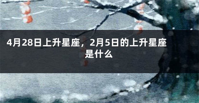 4月28日上升星座，2月5日的上升星座是什么