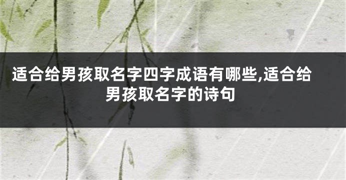 适合给男孩取名字四字成语有哪些,适合给男孩取名字的诗句