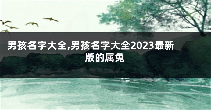 男孩名字大全,男孩名字大全2023最新版的属兔