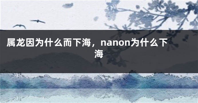 属龙因为什么而下海，nanon为什么下海