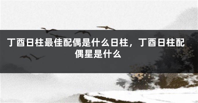 丁酉日柱最佳配偶是什么日柱，丁酉日柱配偶星是什么