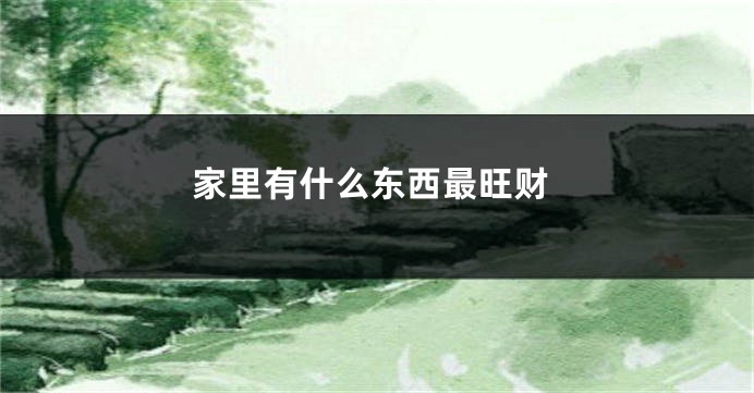家里有什么东西最旺财